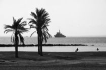black and white palm beach by Jessy Libik