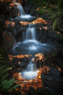 Clyne Park waterfalls by Leighton Collins