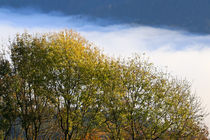 Herbstfarben und Nebel von Bernhard Kaiser