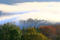 Nebel im Tal von Bernhard Kaiser