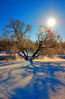 Winter sun by Yuri Hope