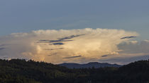 Weather over Schwarzwald von Nicolai Golsner