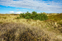 Landschaft in den Dünen auf der Insel Amrum von Rico Ködder