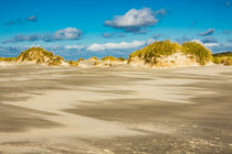 Landschaft mit Dünen auf der Insel Amrum von Rico Ködder