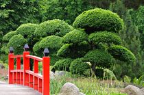 Japanischer Garten von Gabi Siebenhühner