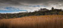Weobley Castle North Gower by Leighton Collins