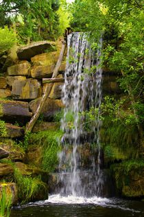 Wasserfall von Gabi Siebenhühner