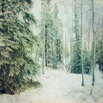 Wintry Woods by Priska  Wettstein