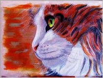 Red Cat Pastell  by Sandra  Vollmann