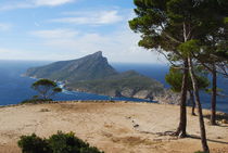 Mallorca Dracheninsel von Anita Pescosta