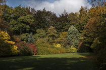 Thorp Perrow in Autumn by Colin Metcalf
