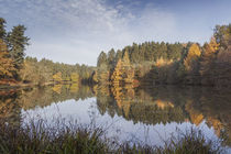 Autumn Reflected - 7 by David Tinsley