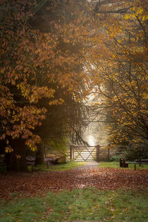 Autumn Gateway II by David Tinsley