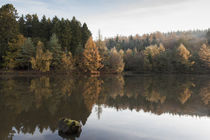Autumn Reflected - 4 von David Tinsley