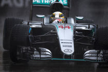 Lewis Hamilton von Srdjan Petrovic