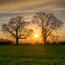 Winter Sunrise 3 von David Tinsley