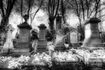 Highgate Cemetery London von David Pyatt