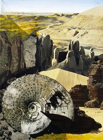 Wüstengebirge mit Ammonit von Heinz Sterzenbach