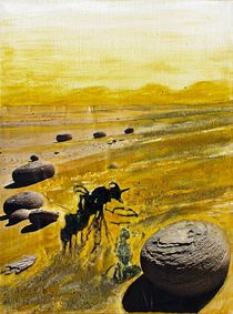 Wüste mit Steinkugeln  by Heinz Sterzenbach