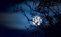 Spooky Moon Rising von Keld Bach