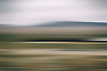 Roadrunner in der Wüste  von Bastian  Kienitz
