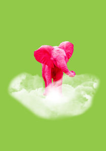 Pink elephant von lescapricesdefilles