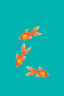 Goldfishes von lescapricesdefilles