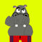 Base-hippo