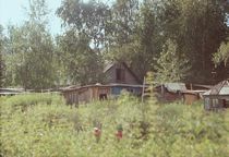 rural and ruined house von Alexey Moskvin