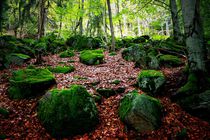 Mystischer Wald by Photo-Art Gabi Lahl