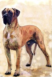  Imposing Big Dog  by Sandra  Vollmann
