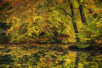Herbst am Teich von moqui