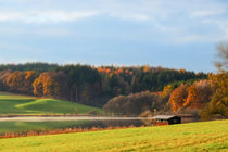 Bavarian Landscape in Fall von Thomas Matzl