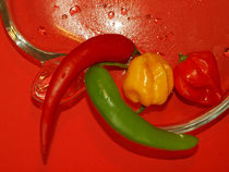 Feuriger Paprika, red hot chili, peperoni, pepper, capsicum by Dagmar Laimgruber