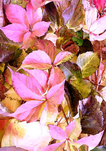 Garden leaves von lescapricesdefilles