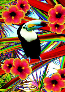 The toucan von lescapricesdefilles