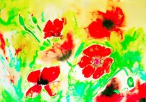 Poppies von Maria-Anna  Ziehr