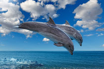 Dolphins jumping von Constantinos Iliopoulos