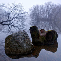 Rock and Stump in Square by Keld Bach