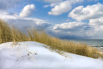 Winter an der Küste der Ostsee in Graal Müritz von Rico Ködder