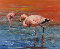 James's Flamingo von Geoff Amos