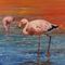 Jamess-flamingo-oil-on-board-20x24in-x