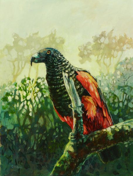 Pesquets-parrot-acrylic-on-board-12x16in-x