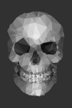 Polygons-skull-dg