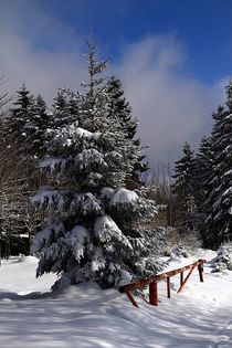 Winterparadies  von artpic
