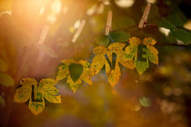 Autumn Love by photoart-mrs