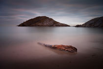 Driftwood on Mumbles beach by Leighton Collins