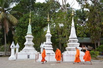 Mönche in Laos von Anita Pescosta
