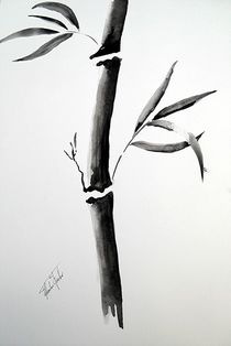 Bambus by Theodor Fischer