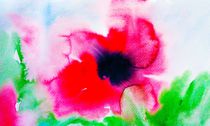 poppy blosssom by Maria-Anna  Ziehr